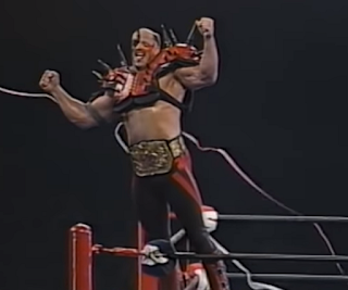 SWS/WWF SuperWrestle 1991 - Legion of Doom faced The Natural Disasters