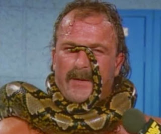 WWF / WWE - SUMMERSLAM 1990: Jake The Snake had a snake on his face