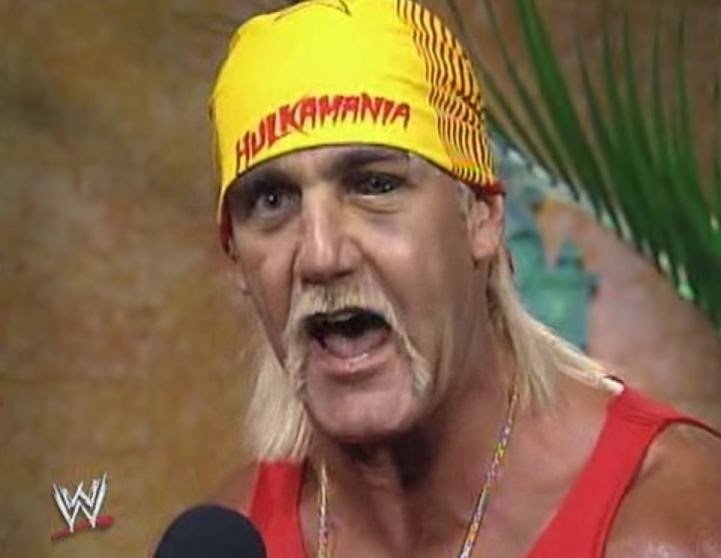 WWE / WWF WRESTLEMANIA 9: Hulk Hogan challenges the winner between Bret 'Hitman' Hart and Yokozuna