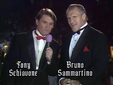 Halloween Havoc 92 Review - Tony Schiavone & Bruno Sammartino